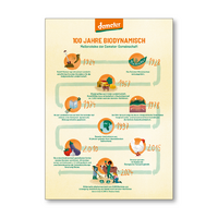 Meilensteine Plakat DIN A2