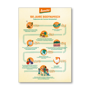 Meilensteine Plakat DIN A1