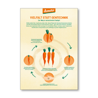 Vielfalt Plakat DIN A2