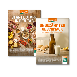 Plakate Starte stark A4 nur Kalk